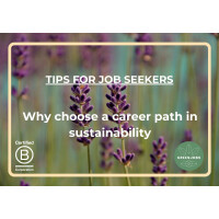 Why Choose A Career Path In Sustainability?